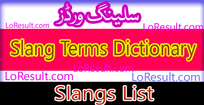 dictionary of slang terms